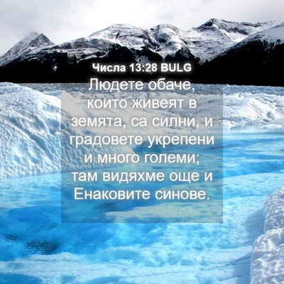 Picture 04 - Числа 13:28 BULG - Людете обаче, които живеят - Bible Verse Picture
