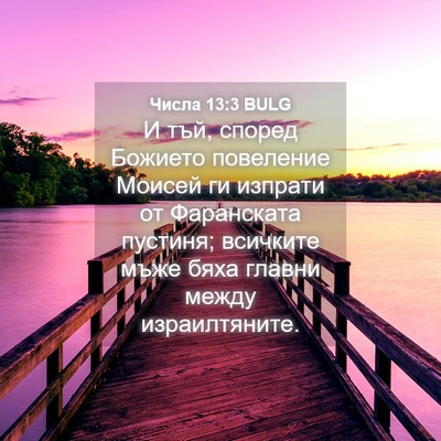 Picture 04 - Числа 13:3 BULG - И тъй, според Божието - Bible Verse Picture