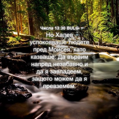 Picture 04 - Числа 13:30 BULG - Но Халев успокояваше - Bible Verse Picture