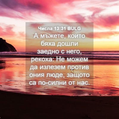 Picture 04 - Числа 13:31 BULG - А мъжете, които бяха дошли - Bible Verse Picture