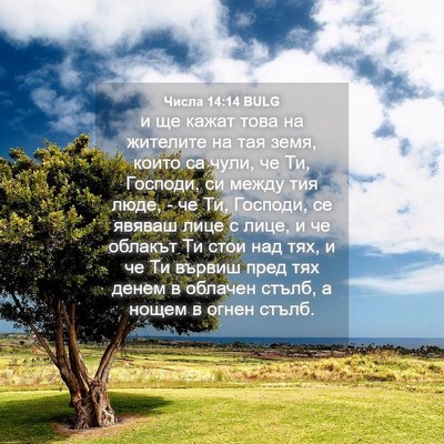 Picture 04 - Числа 14:14 BULG - и ще кажат това на жителите - Bible Verse Picture