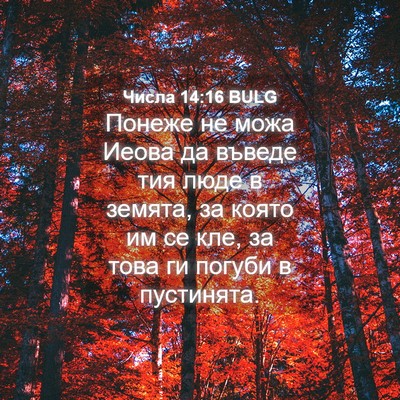 Picture 04 - Числа 14:16 BULG - Понеже не можа Иеова да - Bible Verse Picture