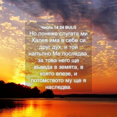 Picture 04 - Числа 14:24 BULG - Но понеже слугата ми Халев - Bible Verse Picture