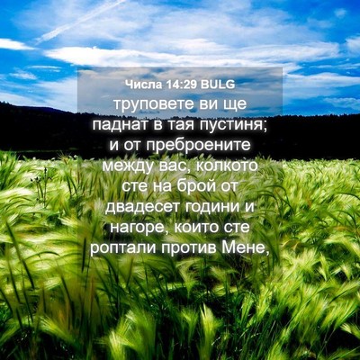 Picture 04 - Числа 14:29 BULG - труповете ви ще паднат в - Bible Verse Picture