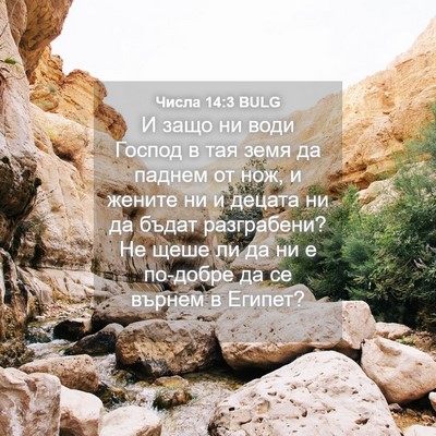 Picture 04 - Числа 14:3 BULG - И защо ни води Господ в тая - Bible Verse Picture