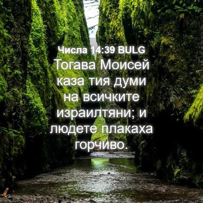 Picture 04 - Числа 14:39 BULG - Тогава Моисей каза тия - Bible Verse Picture