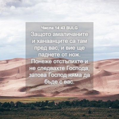 Picture 04 - Числа 14:43 BULG - Защото амаличаните и - Bible Verse Picture