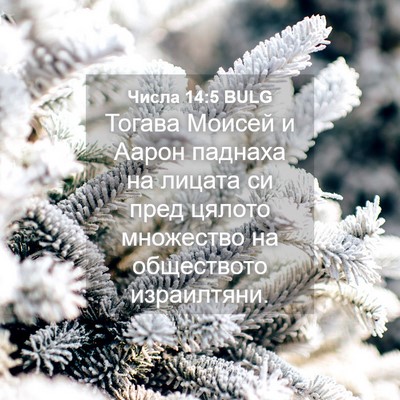 Picture 04 - Числа 14:5 BULG - Тогава Моисей и Аарон - Bible Verse Picture