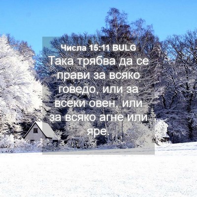 Picture 04 - Числа 15:11 BULG - Така трябва да се прави за - Bible Verse Picture