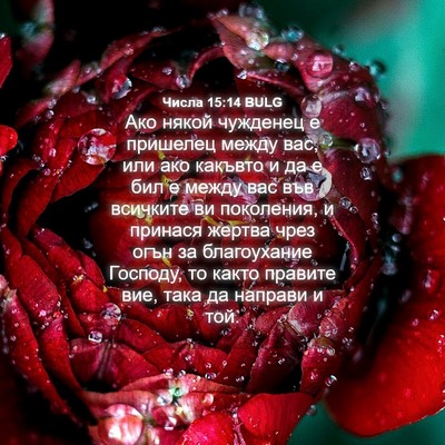 Picture 04 - Числа 15:14 BULG - Ако някой чужденец е - Bible Verse Picture