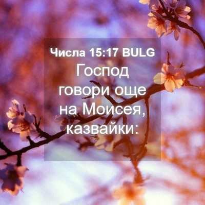 Picture 04 - Числа 15:17 BULG - Господ говори още на - Bible Verse Picture