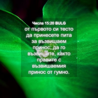 Picture 04 - Числа 15:20 BULG - от първото си тесто да - Bible Verse Picture