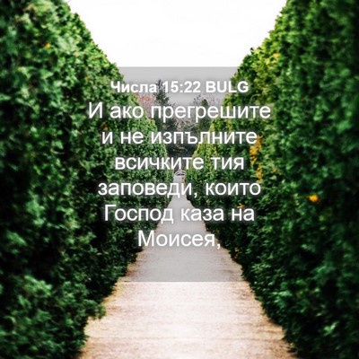 Picture 04 - Числа 15:22 BULG - И ако прегрешите и не - Bible Verse Picture