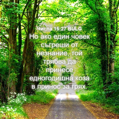 Picture 04 - Числа 15:27 BULG - Но ако един човек съгреши - Bible Verse Picture