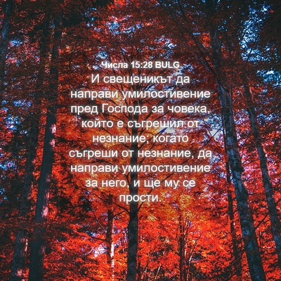 Picture 04 - Числа 15:28 BULG - И свещеникът да направи - Bible Verse Picture