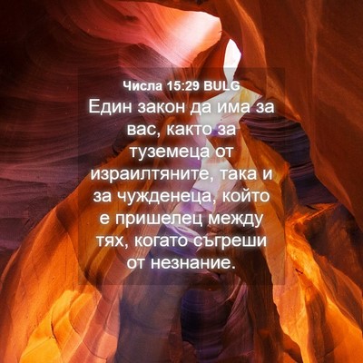 Picture 04 - Числа 15:29 BULG - Един закон да има за вас, - Bible Verse Picture