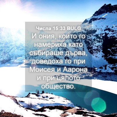 Picture 04 - Числа 15:33 BULG - И ония, които го намериха - Bible Verse Picture