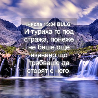 Picture 04 - Числа 15:34 BULG - И туриха го под стража, - Bible Verse Picture