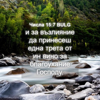 Picture 04 - Числа 15:7 BULG - и за възлияние да принесеш - Bible Verse Picture