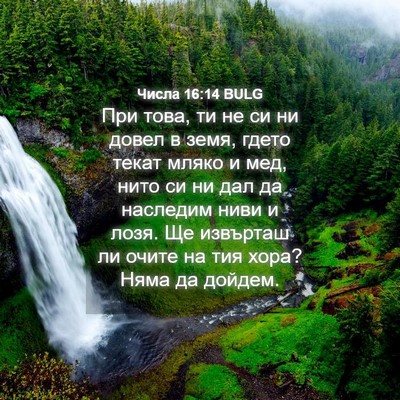 Picture 04 - Числа 16:14 BULG - При това, ти не си ни довел - Bible Verse Picture