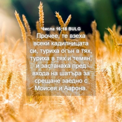 Picture 04 - Числа 16:18 BULG - Прочее, те взеха всеки - Bible Verse Picture
