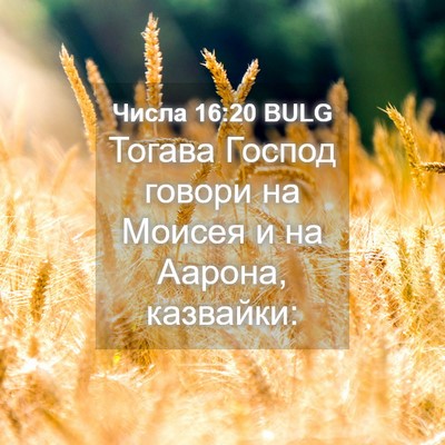 Picture 04 - Числа 16:20 BULG - Тогава Господ говори на - Bible Verse Picture
