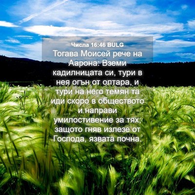 Picture 04 - Числа 16:46 BULG - Тогава Моисей рече на - Bible Verse Picture