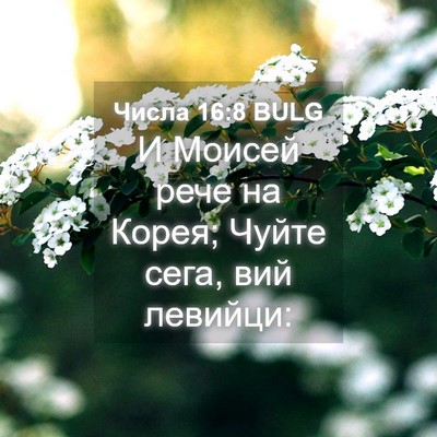 Picture 04 - Числа 16:8 BULG - И Моисей рече на Корея; - Bible Verse Picture