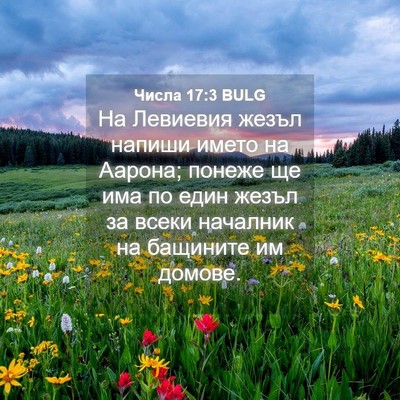 Picture 04 - Числа 17:3 BULG - На Левиевия жезъл напиши - Bible Verse Picture
