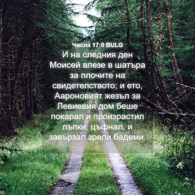 Picture 04 - Числа 17:8 BULG - И на следния ден Моисей - Bible Verse Picture