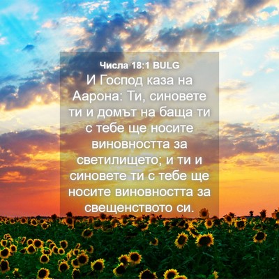 Picture 04 - Числа 18:1 BULG - И Господ каза на Аарона: Ти, - Bible Verse Picture