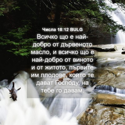 Picture 04 - Числа 18:12 BULG - Всичко що е най-добро от - Bible Verse Picture