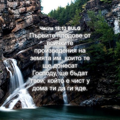 Picture 04 - Числа 18:13 BULG - Първите плодове от - Bible Verse Picture