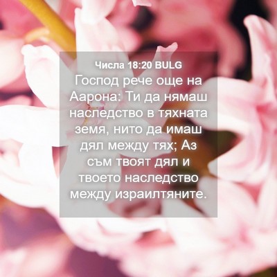 Picture 04 - Числа 18:20 BULG - Господ рече още на Аарона: - Bible Verse Picture