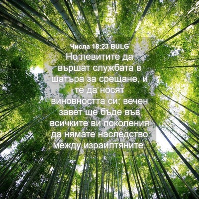 Picture 04 - Числа 18:23 BULG - Но левитите да вършат - Bible Verse Picture