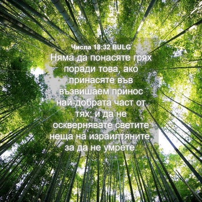 Picture 04 - Числа 18:32 BULG - Няма да понасяте грях - Bible Verse Picture