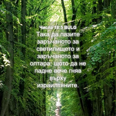 Picture 04 - Числа 18:5 BULG - Така да пазите заръчаното - Bible Verse Picture