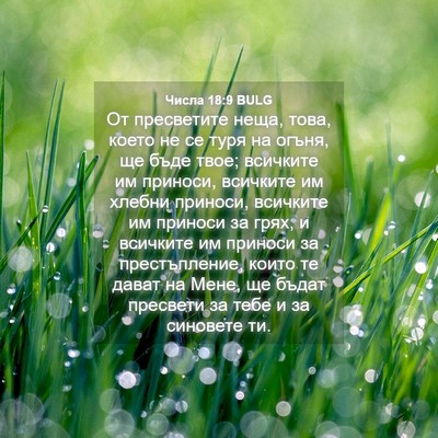 Picture 04 - Числа 18:9 BULG - От пресветите неща, това, - Bible Verse Picture
