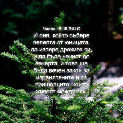 Picture 04 - Числа 19:10 BULG - И оня, който събере пепелта - Bible Verse Picture