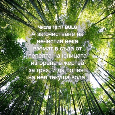 Picture 04 - Числа 19:17 BULG - А за очистване на нечистия - Bible Verse Picture