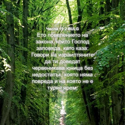 Picture 04 - Числа 19:2 BULG - Ето повелението на закона, - Bible Verse Picture