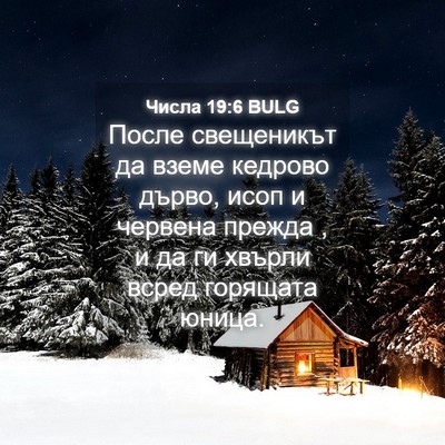 Picture 04 - Числа 19:6 BULG - После свещеникът да вземе - Bible Verse Picture