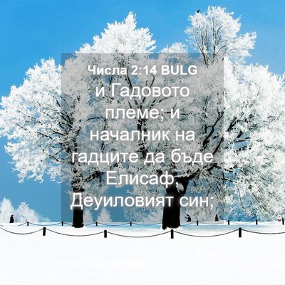 Picture 04 - Числа 2:14 BULG - и Гадовото племе; и - Bible Verse Picture