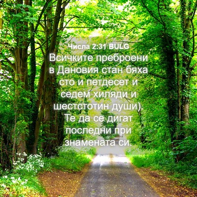 Picture 04 - Числа 2:31 BULG - Всичките преброени в - Bible Verse Picture