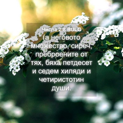Picture 04 - Числа 2:8 BULG - (а неговото множество, - Bible Verse Picture