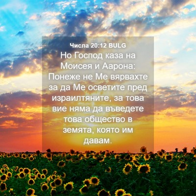 Picture 04 - Числа 20:12 BULG - Но Господ каза на Моисея и - Bible Verse Picture