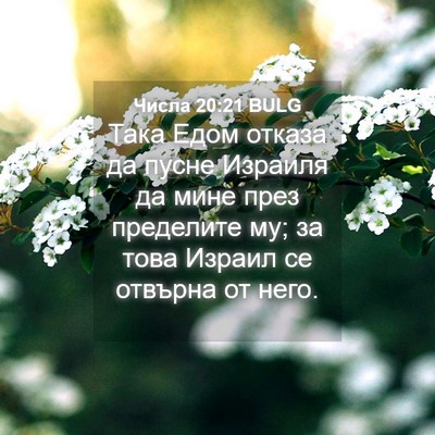 Picture 04 - Числа 20:21 BULG - Така Едом отказа да пусне - Bible Verse Picture