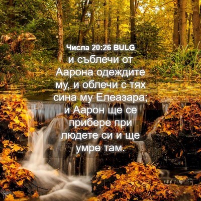 Picture 04 - Числа 20:26 BULG - и съблечи от Аарона - Bible Verse Picture