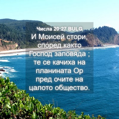 Picture 04 - Числа 20:27 BULG - И Моисей стори, според - Bible Verse Picture