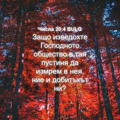 Picture 04 - Числа 20:4 BULG - Защо изведохте Господното - Bible Verse Picture
